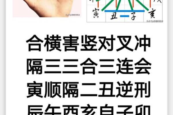 地支相冲揭秘：婚姻中的禁忌，这些地支相冲你必须知道