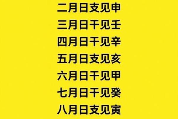 解锁运势密码，地支贵人助力你一臂之力