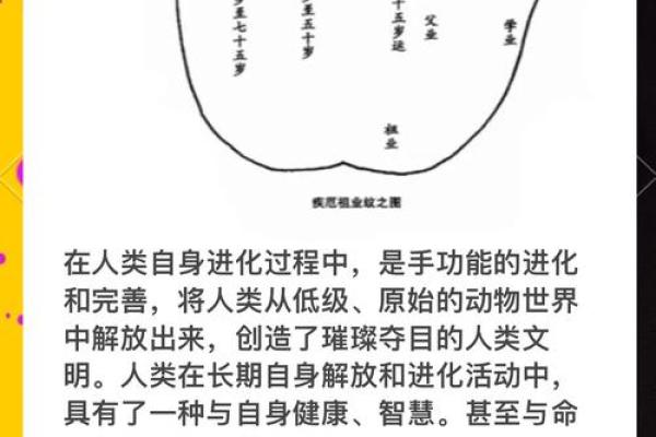 手相大师揭秘：麻衣手相教你读懂人生秘密