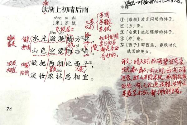 探索青雨背后的诗意与深远寓意