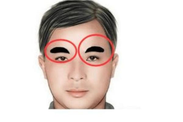 冲天眉面相：财运亨通，事业腾飞的神秘面相！