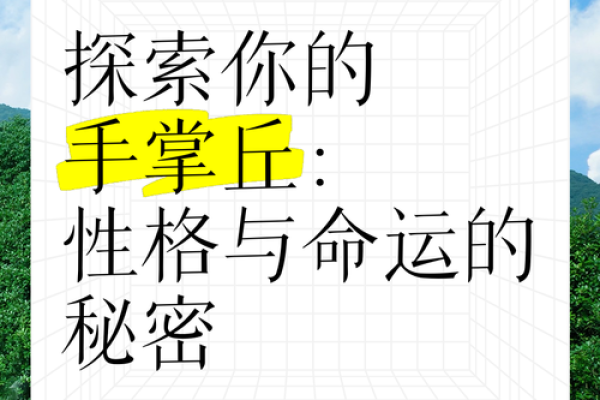 手掌奥秘，揭秘命运密码