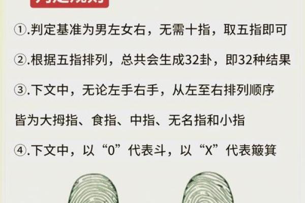 手掌奥秘，揭秘命运密码