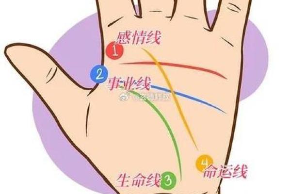 健康手相揭秘：指尖上的生命密码
