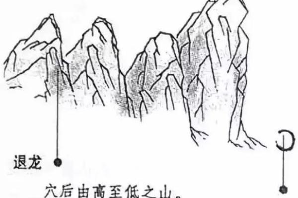 风水学中的龙脉与家居布局的完美结合