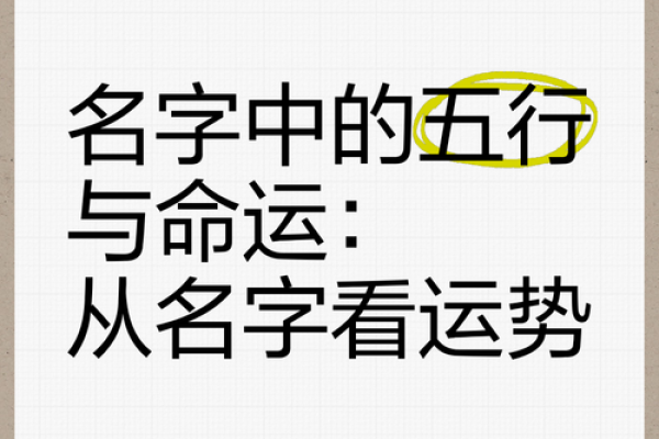 姓名解码：探索名字背后的运势与性格