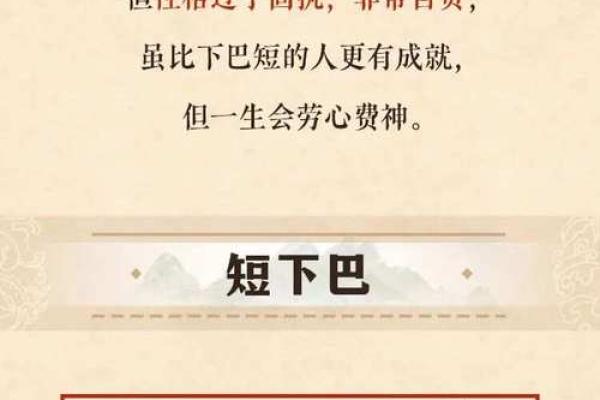 下巴短面相的独到解析