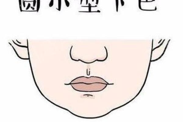 下巴短面相的独到解析