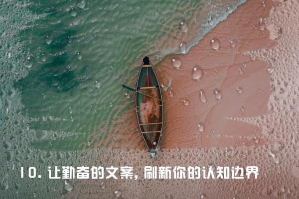 名扬四海仲宇：蕴含着智慧与力量，成就非凡人生