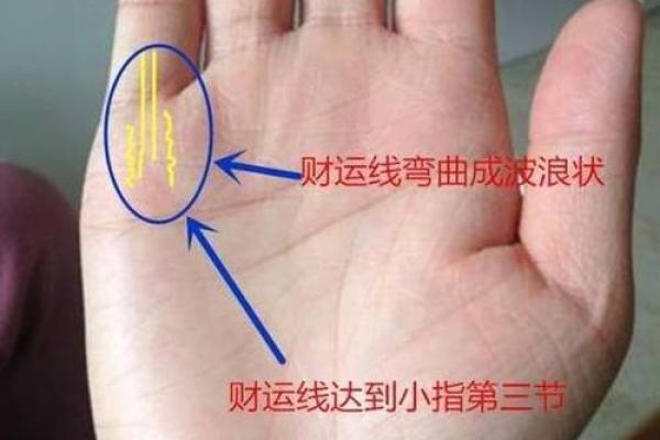 手相揭秘：簸箕形状看财运，你赚了吗？