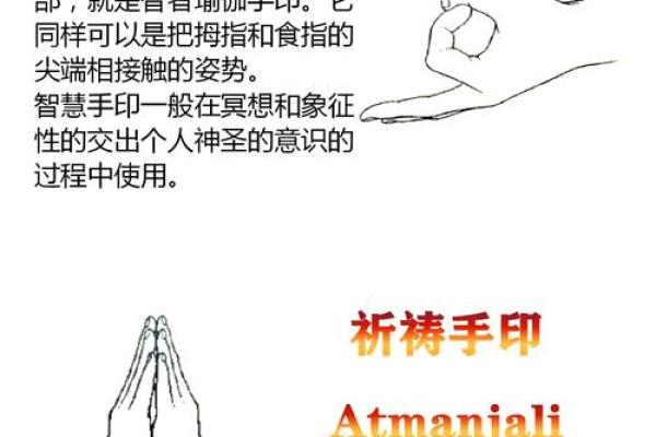 神秘手指记，揭秘十二地支奥秘