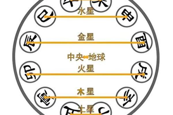 神秘手指记，揭秘十二地支奥秘