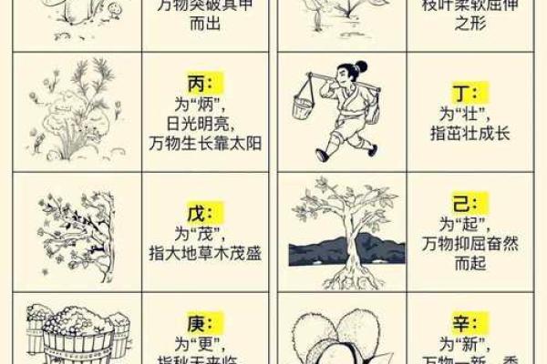 天地奥秘：地支杀的智慧与力量探秘