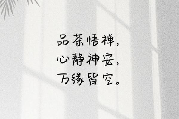 清雅居士，禅意人生