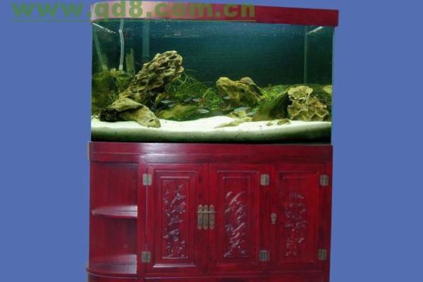 风水学中的水塘布局：对家居风水的影响与利弊分析