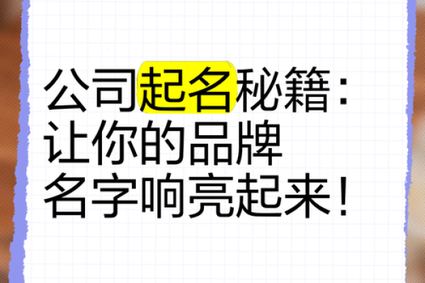 财税公司起名技巧与创意大全 提升品牌影响力的最佳选择