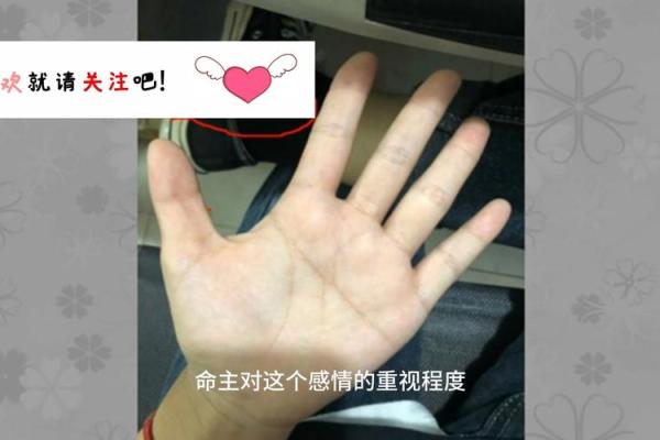 掌中乾坤：断掌女手的非凡命运解读