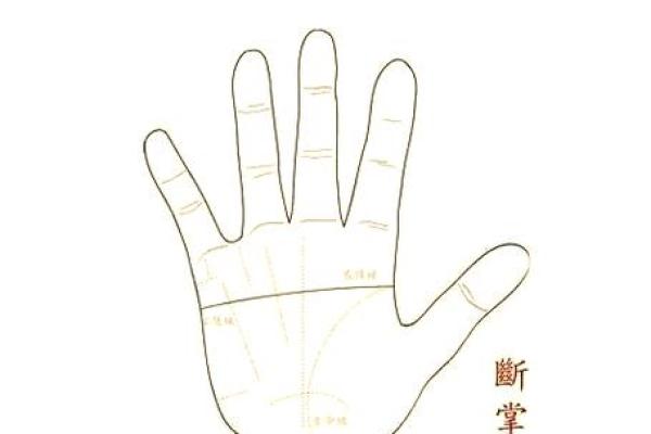 掌中乾坤：断掌女手的非凡命运解读