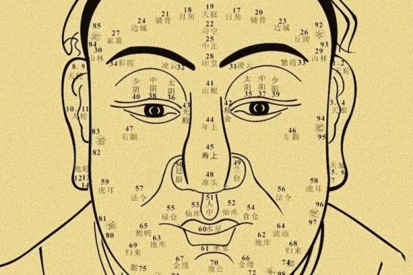 揭秘面相图中的神秘眼睛，一眼看穿命运密码！
