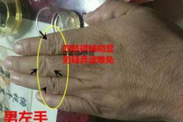 手指间的秘密语言：揭秘汗毛手相的神奇力量