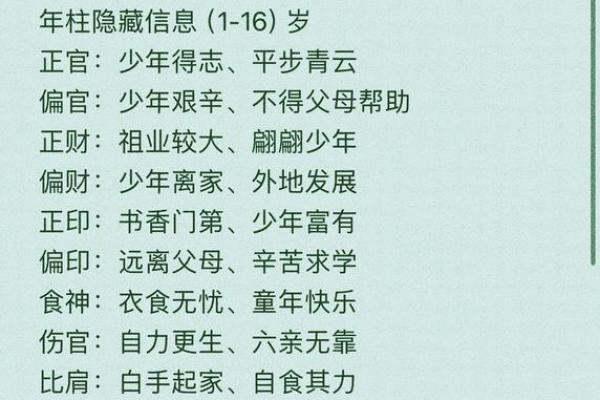掌握生辰八字，洞察人生轨迹