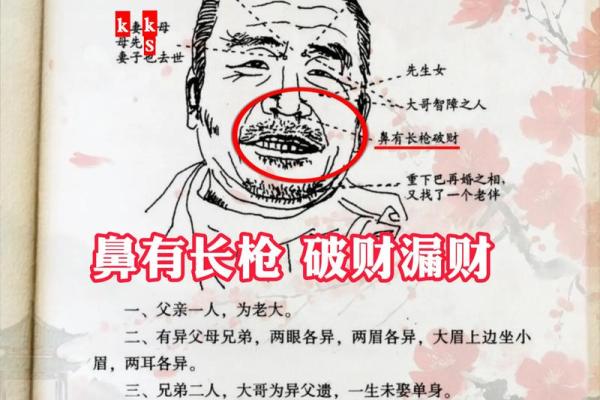 面相奥秘：揭秘如何掌握识人术