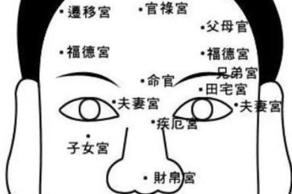 面相奥秘：揭秘如何掌握识人术