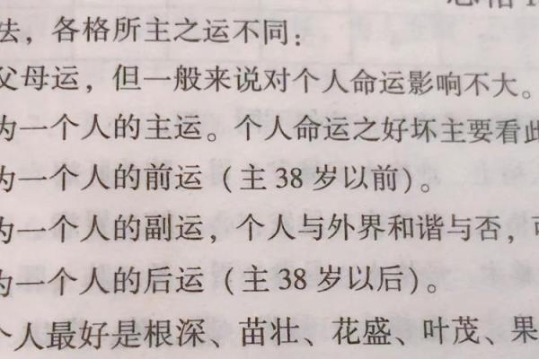 命运解码：跟随命理专家探寻人生轨迹