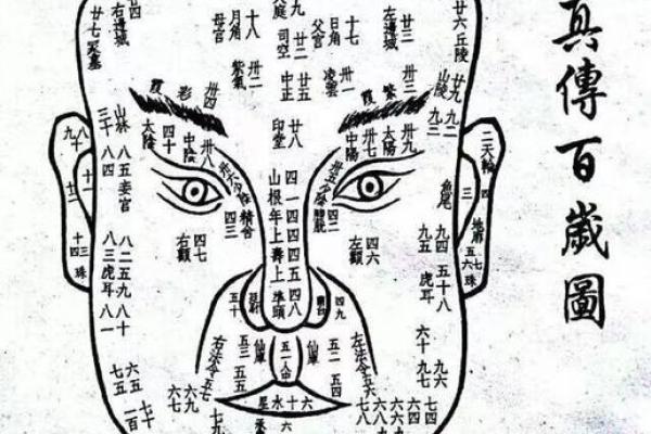 面相与骨骼伤的微妙关联