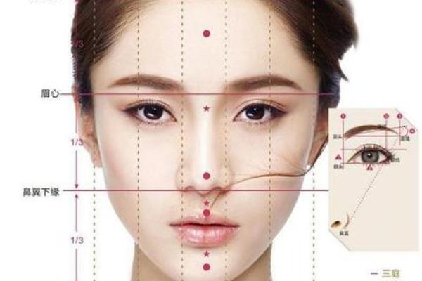 发际线高低与命运起伏：揭秘面相中的发际线奥秘