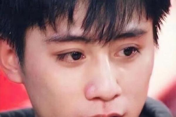 星光背后的秘密：刘烨八字运势分析，揭秘他的成功之道！