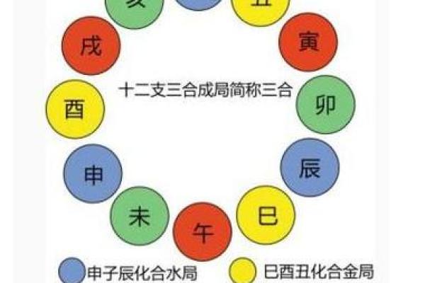 暗夜心跳：地支相合，外遇之谜揭开