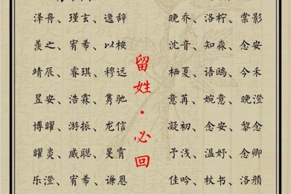 精选支姓男宝宝取名方案