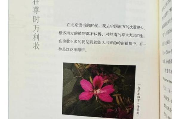 探索成之名字背后的文化与故事