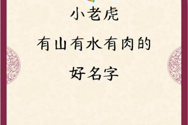 水家宝宝取名攻略：寓意美好，独具特色