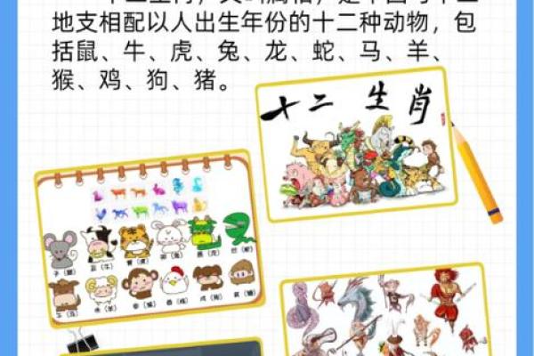 地支秘境游：穿越时空的生肖之旅