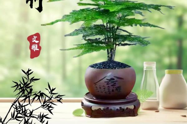 为绿化公司取一个富有创意且易于记忆的名字技巧