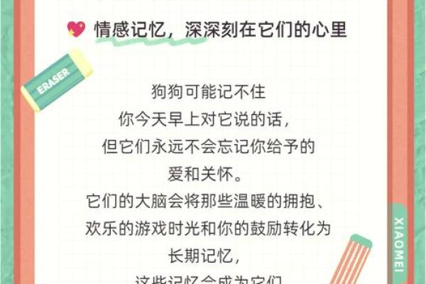 为绿化公司取一个富有创意且易于记忆的名字技巧