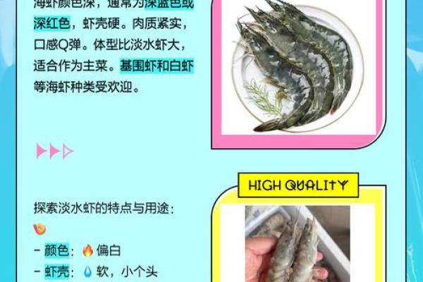 海虾起名秘籍：如何给宝贝取一个海洋气息的名字