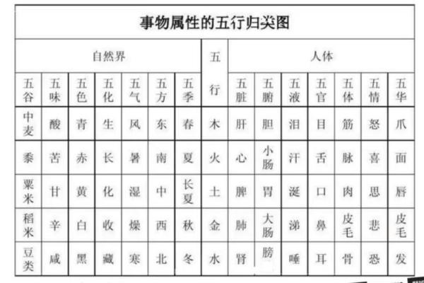 画字的五行属性深度分析