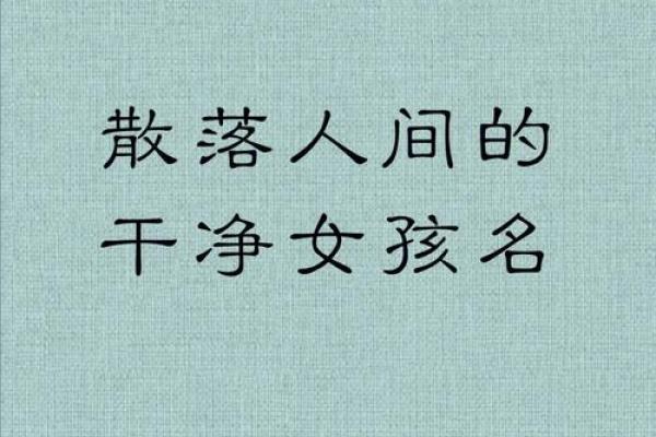 名字的力量——桂嘉名字背后的寓意解析