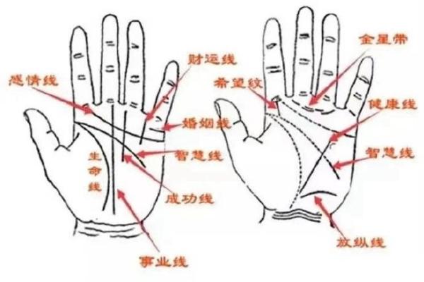 如何从手五行看出你的运势