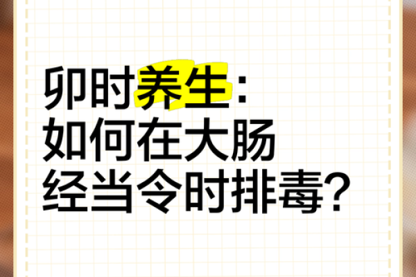 卯时养生：唤醒身体潜能的神秘力量