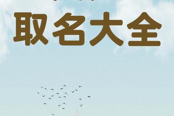 萧字在公司命名中的独特魅力与应用技巧