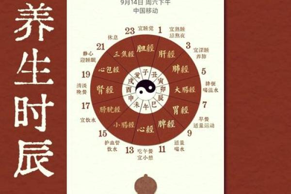 子夜晨曦，揭秘十二时辰的神秘魅力