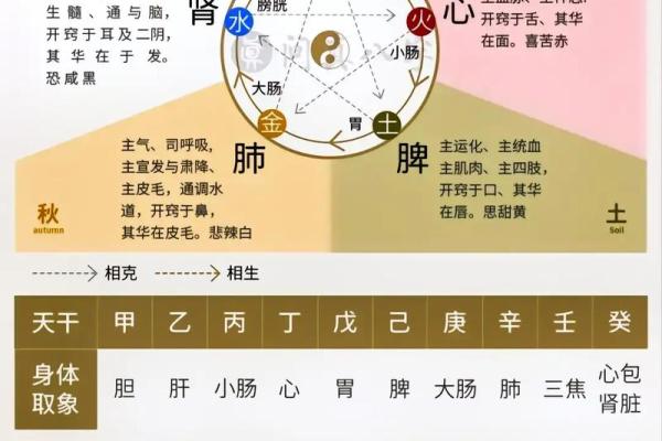 八字命理与健康问题的深度分析