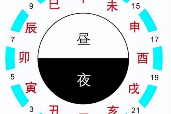 子夜晨曦，揭秘十二时辰的神秘魅力