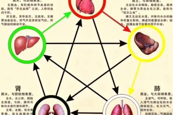 五行缺火对生活的影响与解决