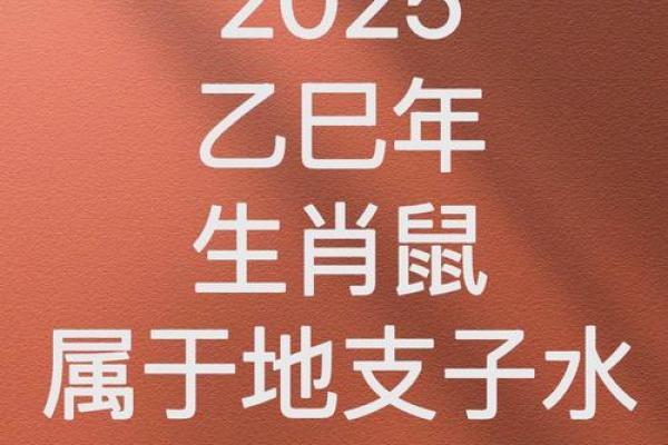 鼠年萌宝：地支之王的时尚风采
