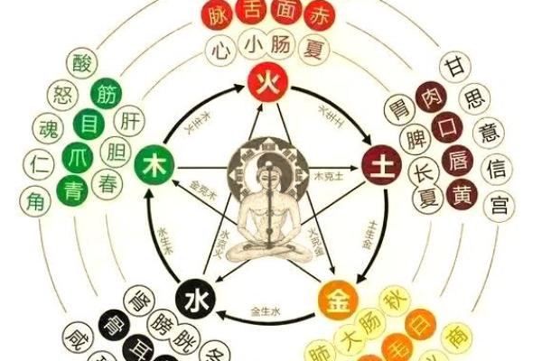 贞五行之谜，探索其具体归属